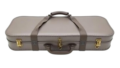 Luxury Beige Violin Case with Straps and Gold Clasps