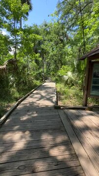 Boardwalk at Blue Spring State Park Florida near Orlando, romantic jungle walk
