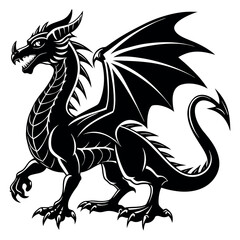 black and white dragon  illustration silhouette on White Background 