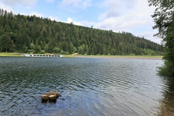 Impressionen von der Nagoldtalsperre im Schwarzwald