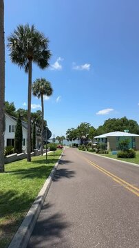 Walking street in Mount Dora Florida, palms and view of Lake Dora