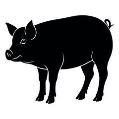 wild boar ready vector illustration silhouette on White Background 