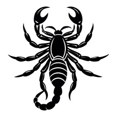 scorpion isolated on white background