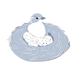 Bird in a nest with eggs