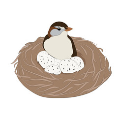 Cartoon bird in a nest