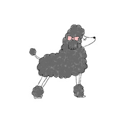 プードル, 犬, イラスト