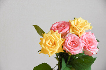 ピンクと黄色の濡れたばら