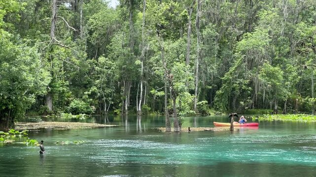 Silver Springs State Park Florida near Ocala offers Canoe, Kayak and also paddle board opportunities