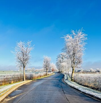 Frosty road in winter