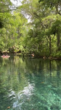 Silver Springs State Park Florida near Ocala offers Canoe, Kayak and also paddle board opportunities