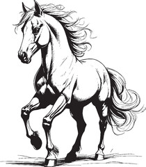 horse illustration