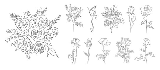 Set of Rose flowers line art vector illustrations. Hand drawn monochrome black ink style sketch. Trendy greenery drawing for jewelry, tattoo, logo, wall art, card, t shirt, packaging design.