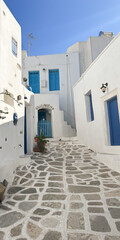 Narrow cobblestone street with whitewashed buildings and bright blue doors under a clear sky.