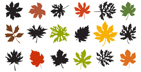 Leaf and flower vector set,silhouette leaves set autumn on white background isolated, vector