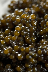 Black caviar. Close-up. Macro photography of delicacy. Background.