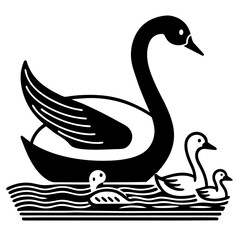 black and white swan