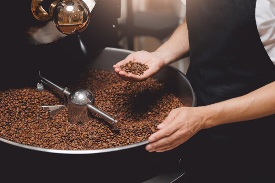 Closeup hand of roaster man control degree of roasting of fresh coffee. Food industry business coffeeshop