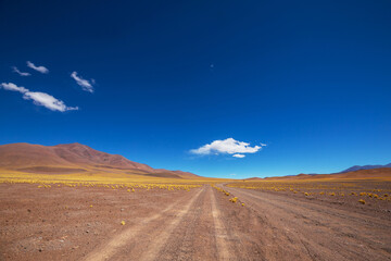 Northern Argentina