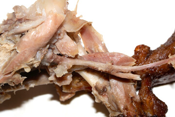Closeup of an eaten chewed chicken duck leg bone with meat and tendon on a white background