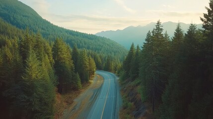 A serene aerial shot of a winding mountain road surrounded by dense forests