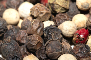 Close up of mixed pepercorn on white background