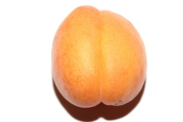 Fototapeta premium Closeup of a fresh apricot fruit on white background