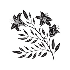 black and white flowers