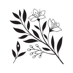 black and white floral background