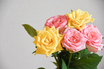 ピンクと黄色の濡れたばら