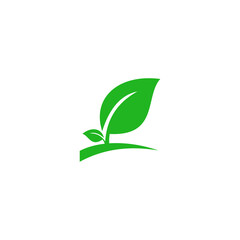 green leaf logo design
