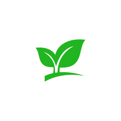 green leaf icon
