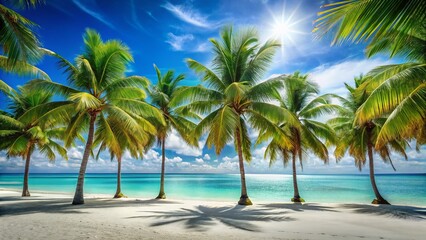 Obraz premium Idyllic Tropical Beach: Palm Trees Frame White Sand and Sparkling Ocean