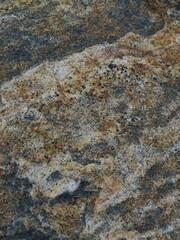 Stone close-up, textured picture, background, colored stone after the rain