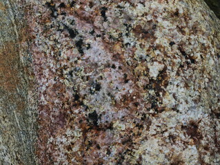 Stone close-up, textured picture, background, colored stone after the rain