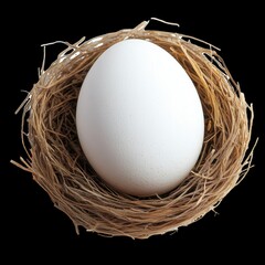 A pristine white egg in a cozy nest.. transparent background