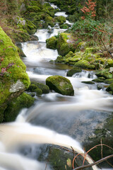 A stream of water is flowing down a rocky path. The water is clear and has a light blue tint. The rocks are covered in moss and there are some leaves on the ground