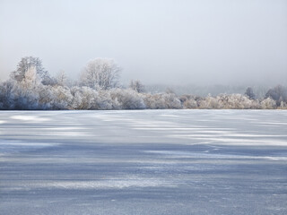 A frozen lake with trees in the background. The sky is cloudy and the snow is white. The trees are bare and covered in snow