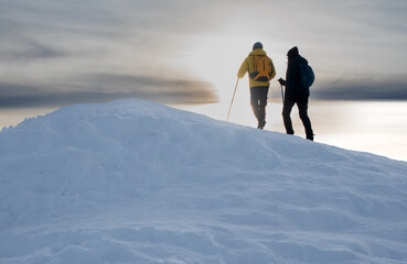 skier standing