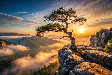 Lonely Tree on Cliff Edge, Dramatic Landscape Photography