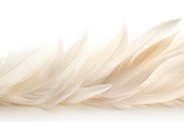Naklejka premium Luxurious light feathers spread out in layers showing their fine details and silky softness