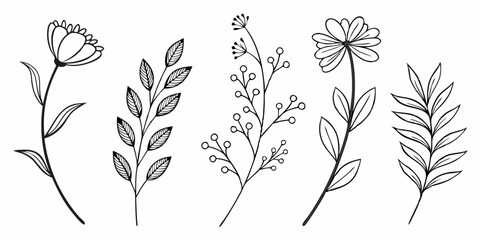 Eucalyptus doodle branch.Set of plants and tree branches with leaves and berries. Hand drawn botanical illustration. Black and white doodle vector image.