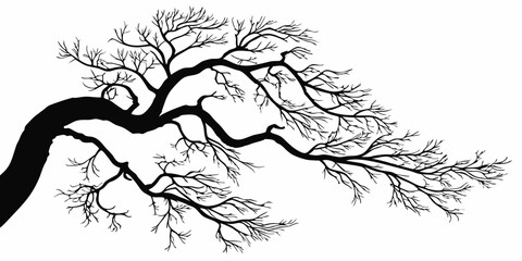 A monochromatic image depicts a bare-branched tree with a avian perched. Minimalist Silhouette of Bare Tree Branches - Elegant Black and White Design.