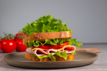 Close-up of two sandwiches with bacon, salami, prosciutto and fresh vegetables on rustic wooden...