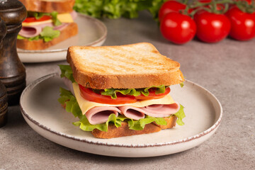 Close-up of two sandwiches with bacon, salami, prosciutto and fresh vegetables on rustic wooden cutting board. Club sandwich concept