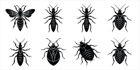 Set of insect icons silhouette illustration. Insects vector collection