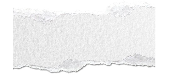 White ripped paper torn edges strips isolated. Ripped torn paper edges isolated on white...