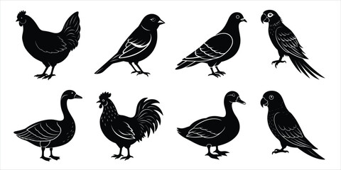 Bird silhouette collection. Domestic bird set vector illustration