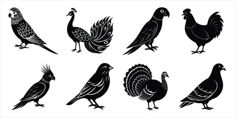 Bird silhouette collection. Domestic bird set vector illustration