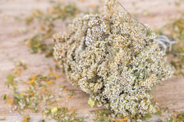 Dried herb tansy (Yarrow) on wooden background. Shallow depth of field. Selective focus.