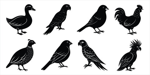 Bird silhouette collection. Domestic bird set vector illustration